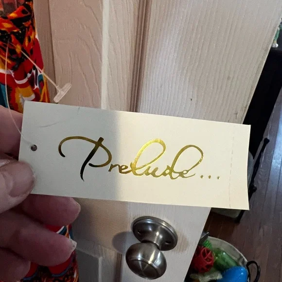 Vibrant Multicolor Maxi Dress - Picture 3 of 4